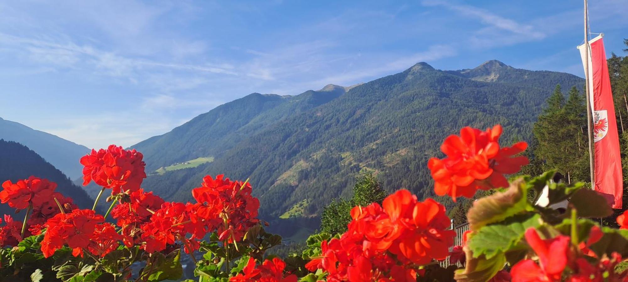 Grossstahlhof Mountain & Panorama View Apartman Valle Aurina Kültér fotó